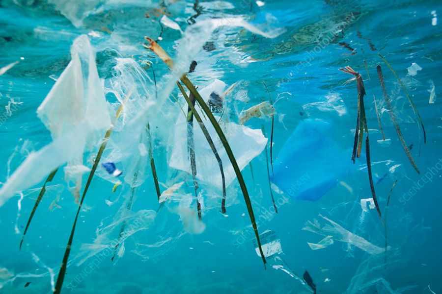 Plastic Pollution Crisis, Taking Action for Clean Seas
