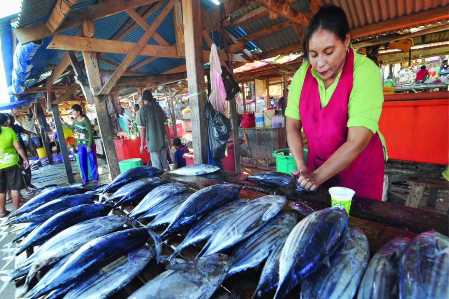 The Role of Women in Sustainable Fisheries, Stories from the Coast